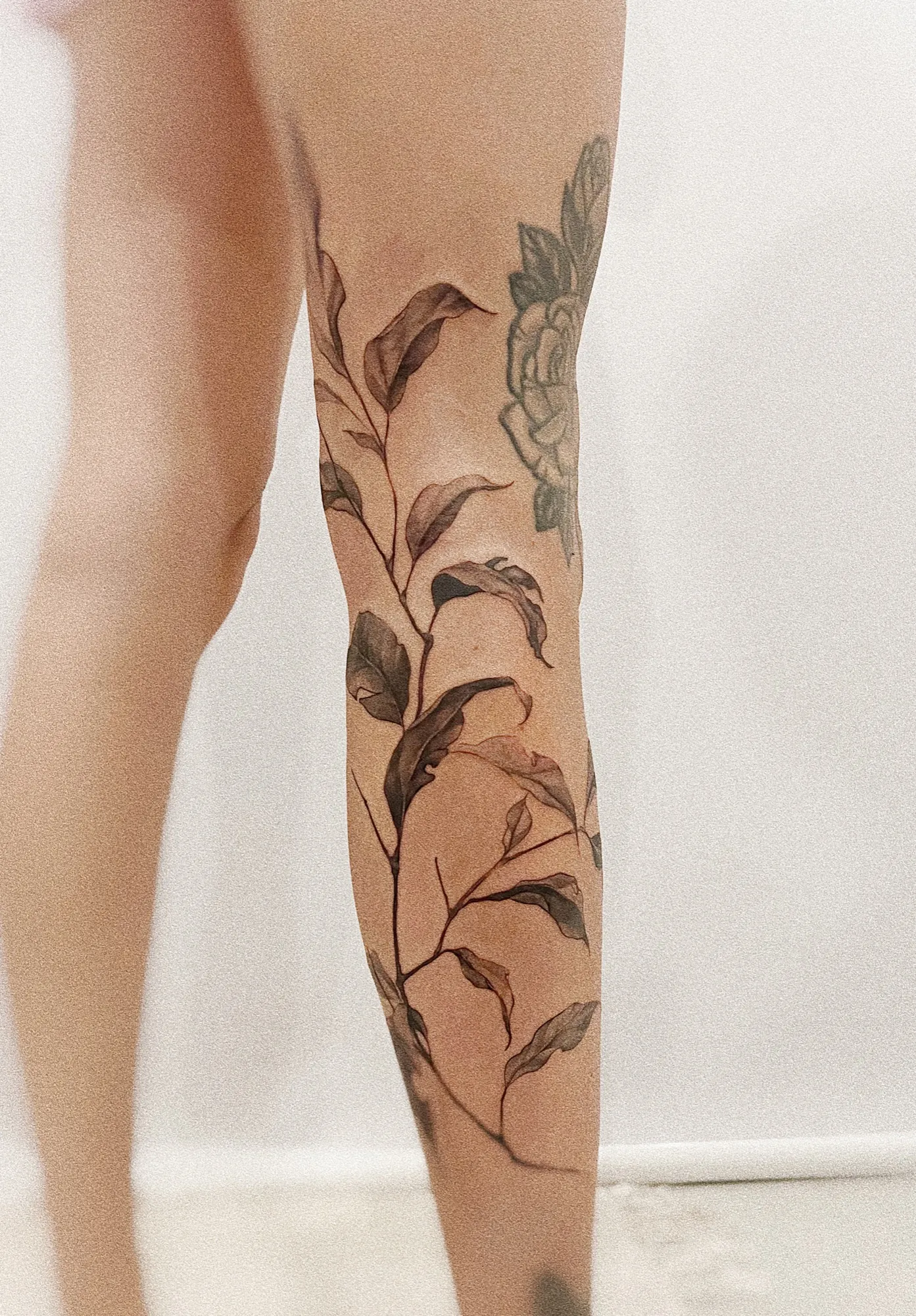 Wild Botanical — Fine-line, black & grey tattoo, Calf, by Yiwu Duan, Toronto